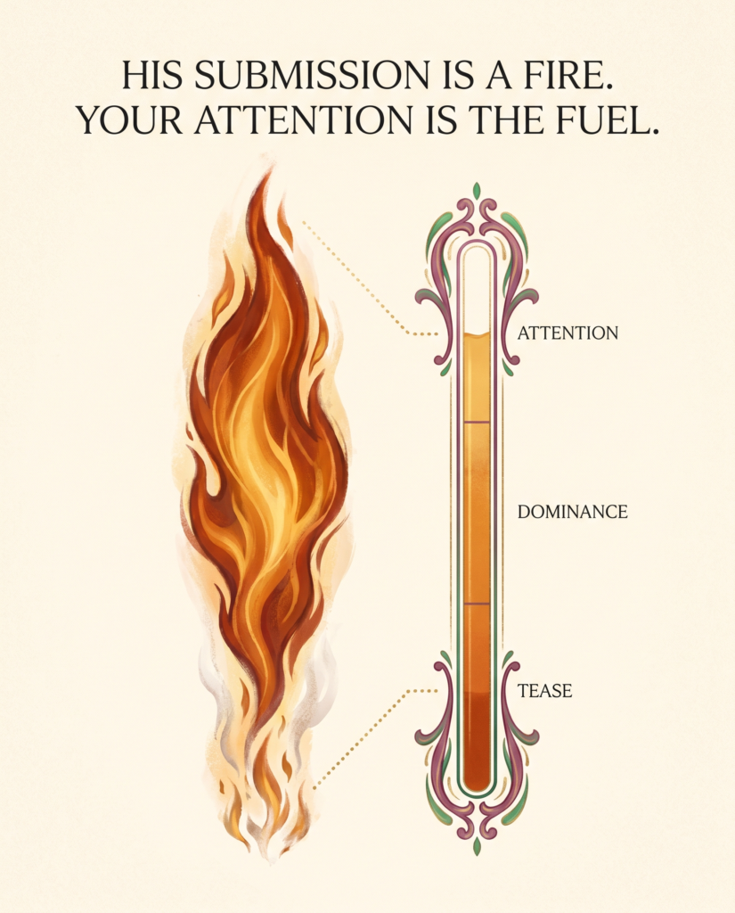 Infographic of a flame fueled by a gauge labeled tease, dominance and attention, on keeping a submissive's drive alive in FLR.