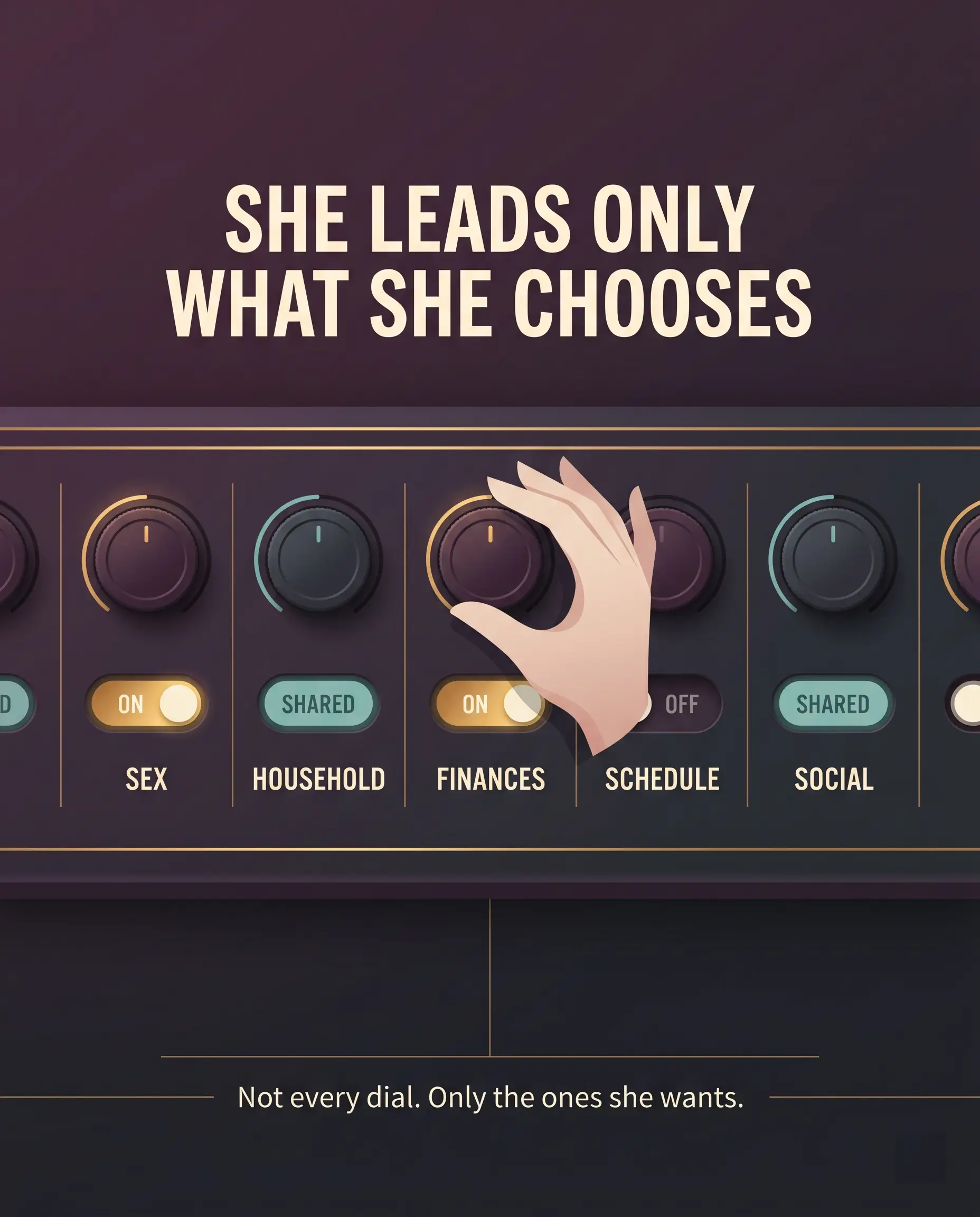 Control-panel infographic showing a woman in a Female Led Relationship leads only the areas she chooses to.