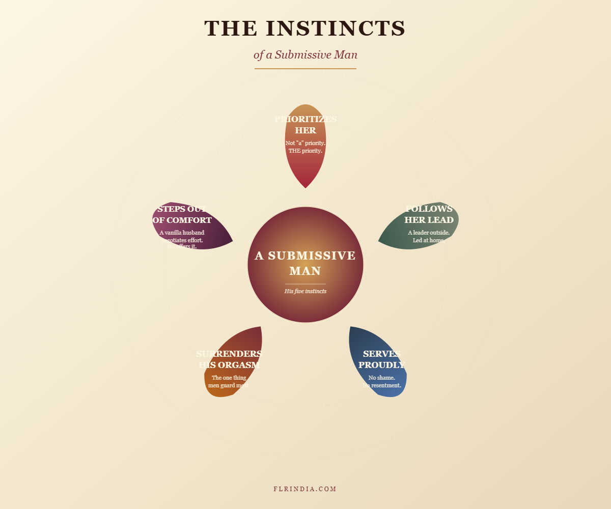 Infographic showing the five core instincts of a submissive man in a Female Led Relationship radiating from a central core.