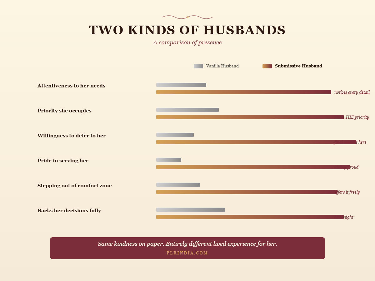 Infographic comparing a vanilla husband with a submissive husband across six dimensions of presence, attentiveness and care.