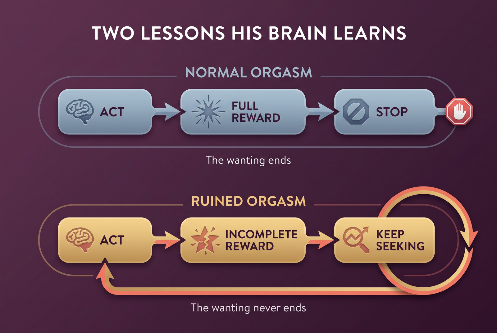 Reward learning diagram: a normal orgasm closes the loop and stops the chase, a ruined orgasm keeps it open.