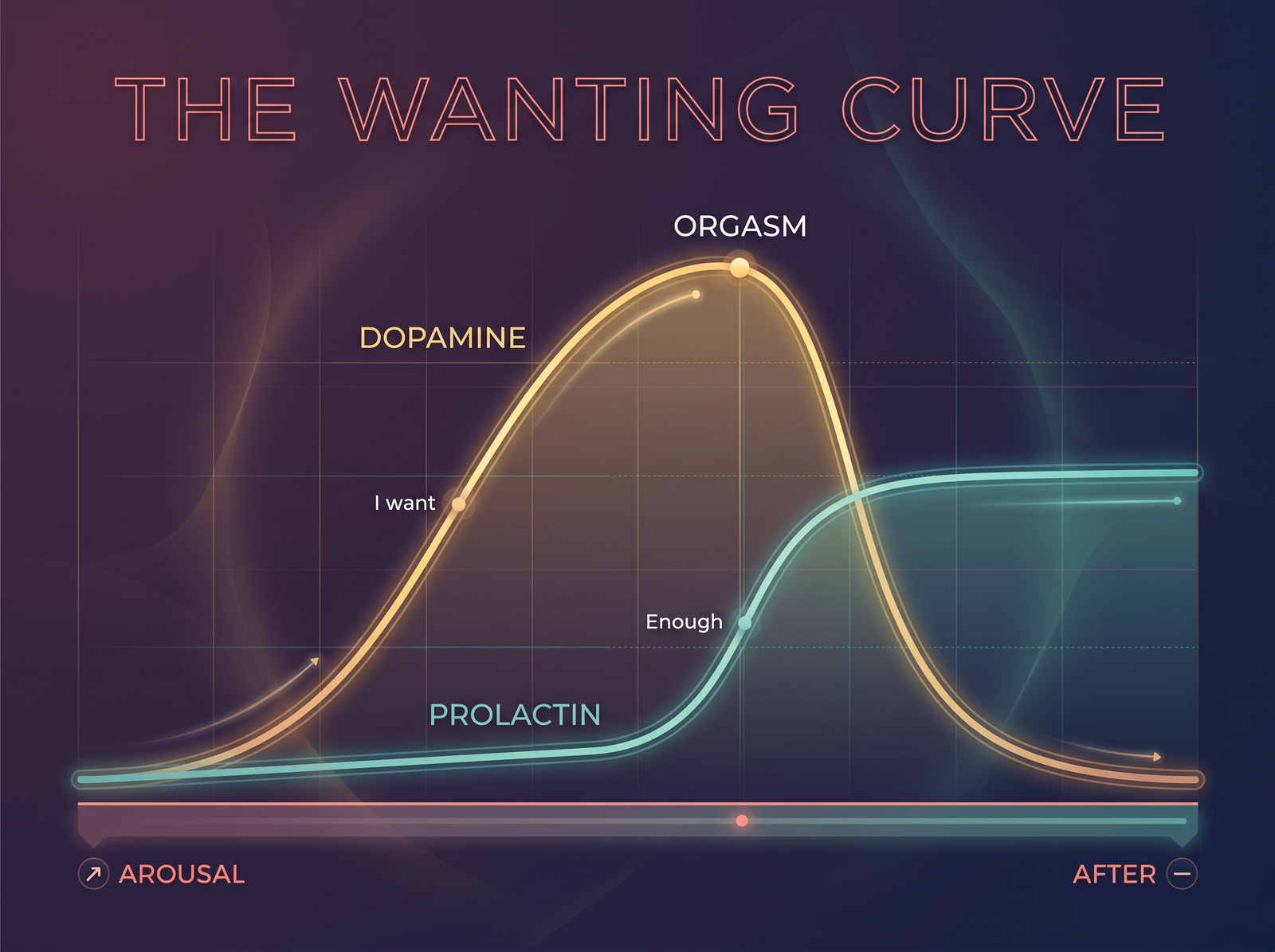 Ruined orgasm explainer: line graph of dopamine climbing to orgasm then crashing as prolactin rises like a brake.